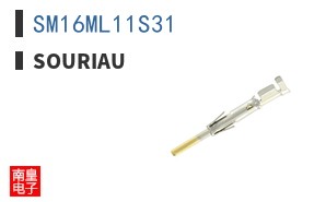 SM16ML11S31