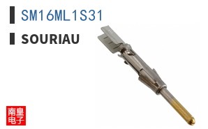 SM16ML1S31