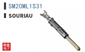 SM20ML1S31