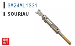 SM24ML1S31