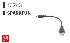 13243