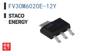 FV30M6020E-12Y