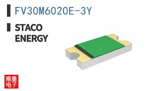 FV30M6020E-3Y