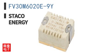 FV30M6020E-9Y