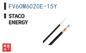 FV60M6020E-15Y