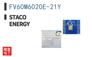 FV60M6020E-21Y