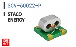 SCV-60022-P