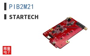 PIB2M21