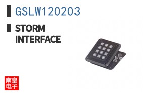 GSLW120203