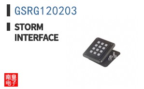 GSRG120203