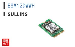ESM12DWWH