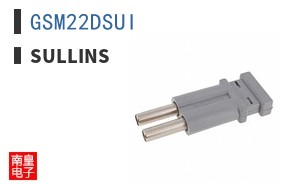 GSM22DSUI