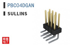 PBC04DGAN
