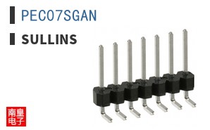 PEC07SGAN