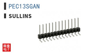 PEC13SGAN