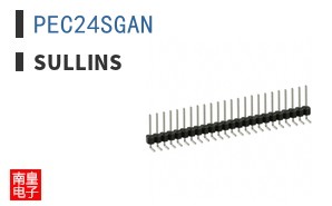 PEC24SGAN