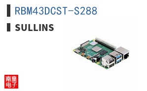 RBM43DCST-S288