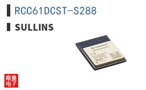 RCC61DCST-S288