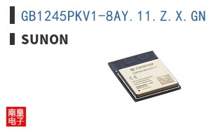 GB1245PKV1-8AY.11.Z.X.GN