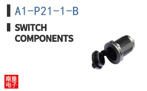 A1-P21-1-B