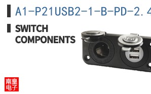 A1-P21USB2-1-B-PD-2.4A