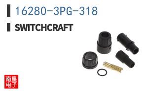 16280-3PG-318