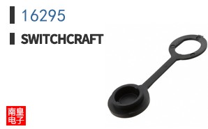 16295