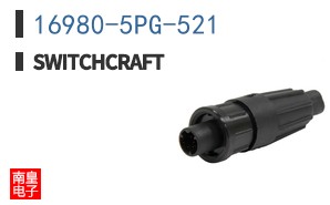 16980-5PG-521