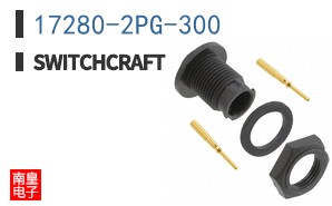 17280-2PG-300