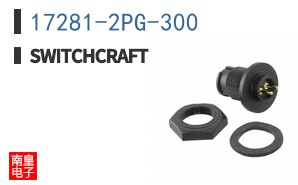 17281-2PG-300