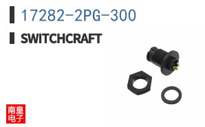17282-2PG-300