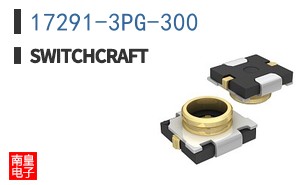17291-3PG-300
