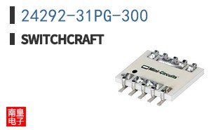 24292-31PG-300
