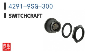 4291-9SG-300