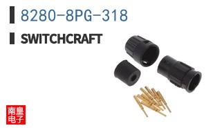 8280-8PG-318