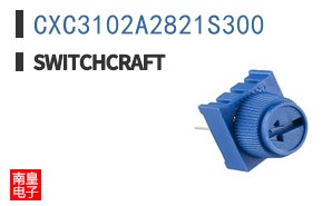 CXC3102A2821S300