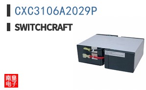 CXC3106A2029P