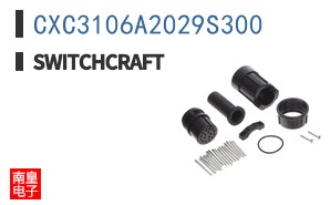 CXC3106A2029S300