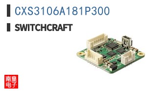 CXS3106A181P300