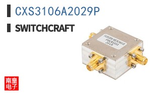 CXS3106A2029P