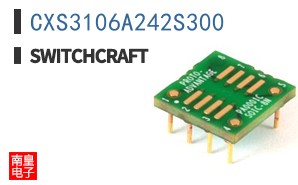 CXS3106A242S300