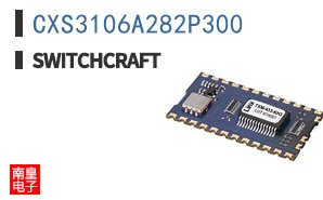 CXS3106A282P300