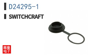 D24295-1
