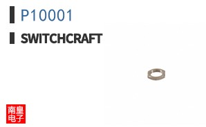 P10001