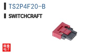 TS2P4F20-B