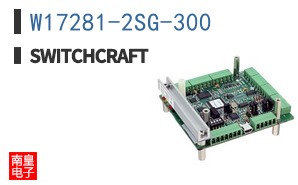 W17281-2SG-300