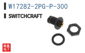 W17282-2PG-P-300