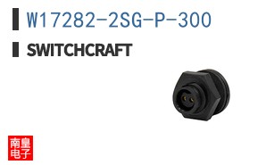 W17282-2SG-P-300