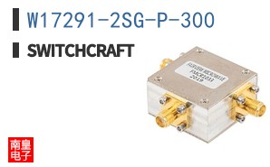 W17291-2SG-P-300