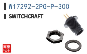 W17292-2PG-P-300